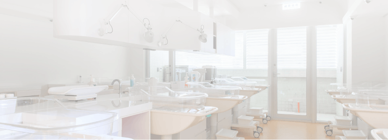 lightbox_main_contect_bg