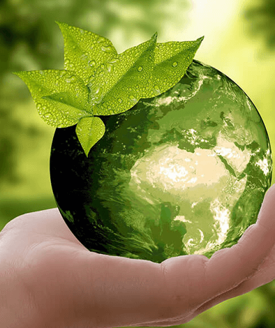 大宇資訊 SOFTSTAR GROUP INC.