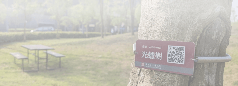 lightbox_main_contect_bg